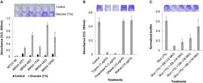 Glabridin Averts Biofilms Formation in Methicillin-Resistant Staphylococcus aureus by Modulation of the Surfaceome